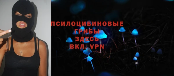 трава Аркадак