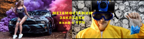 трава Аркадак