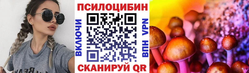Псилоцибиновые грибы Cubensis  Пенза 